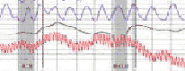 Garden Grove Stanton lie detector test